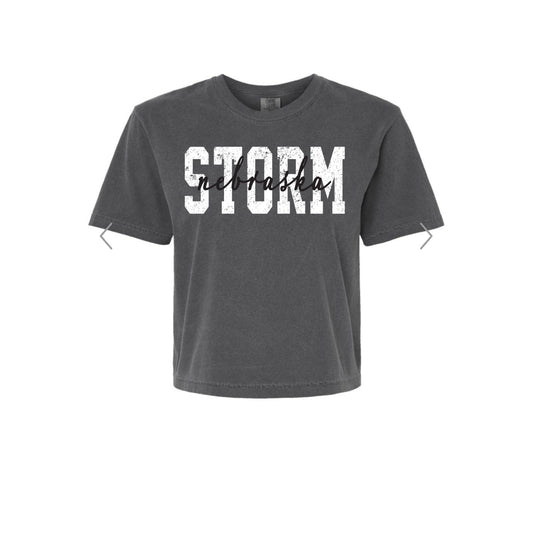 STORM LAYERED Charcoal Boxy Crop Tee [ADULT]