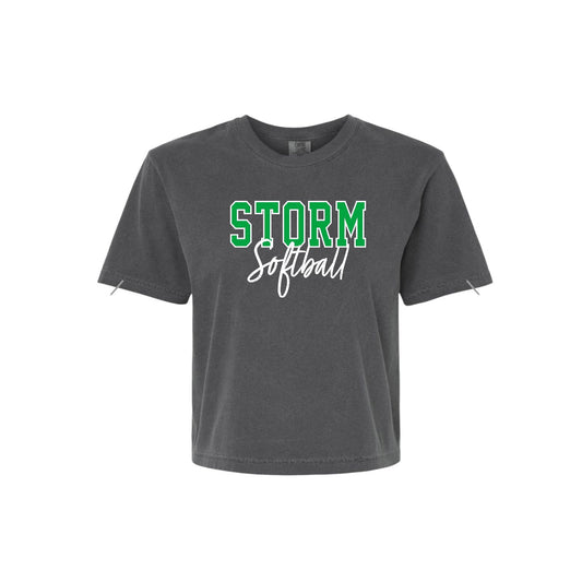 STORM OUTLINE Charcoal Boxy Crop Tee [ADULT]